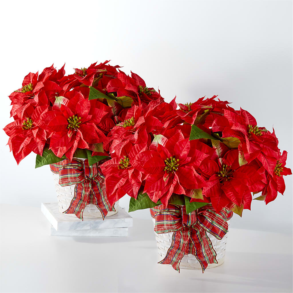 Happiest Holidays Poinsettia Bundle – Unique Designs Llc, Fulton MO
