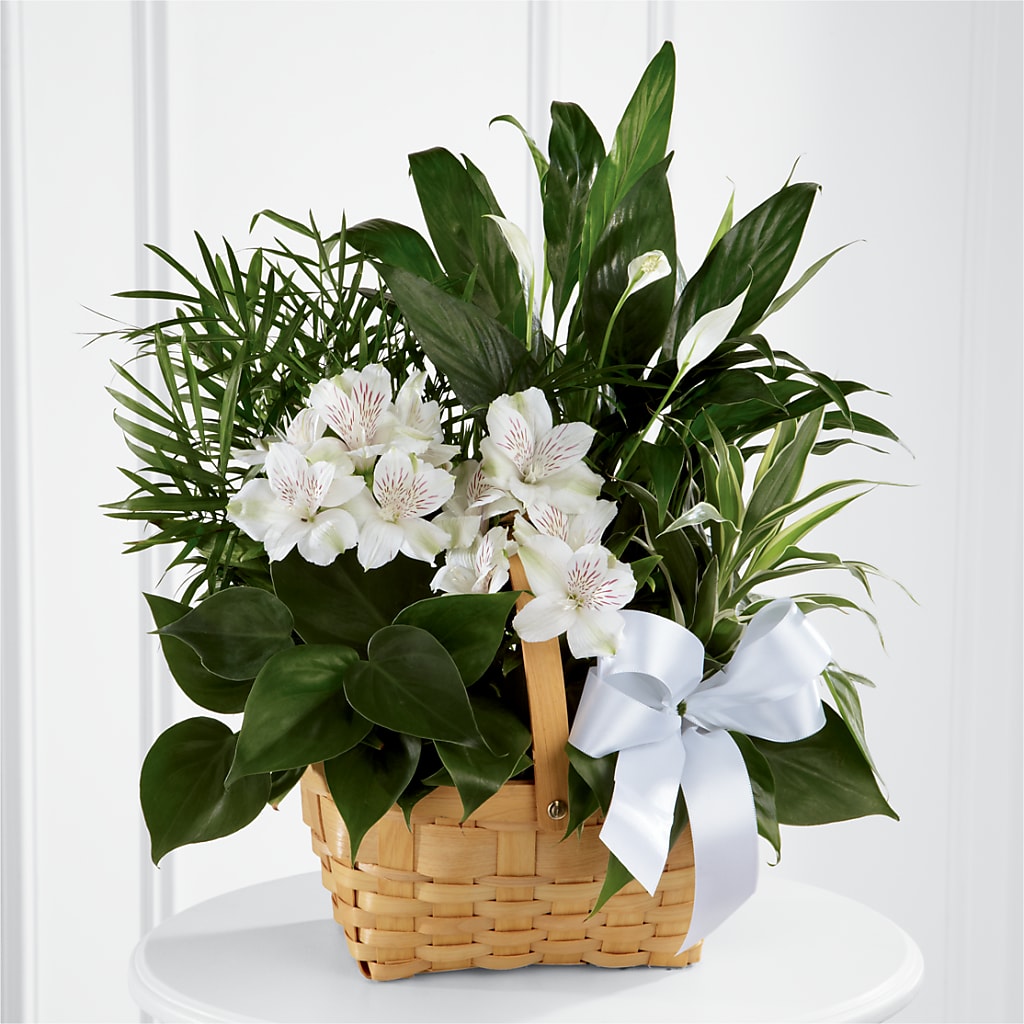 Peace & Serenity Dishgarden – Unique Designs Llc, Fulton MO