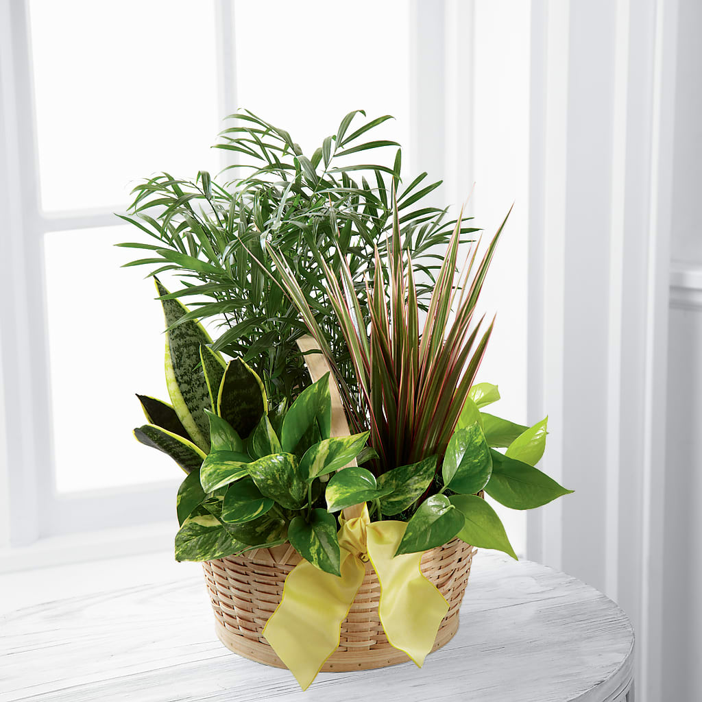 French Garden – Unique Designs Llc, Fulton MO