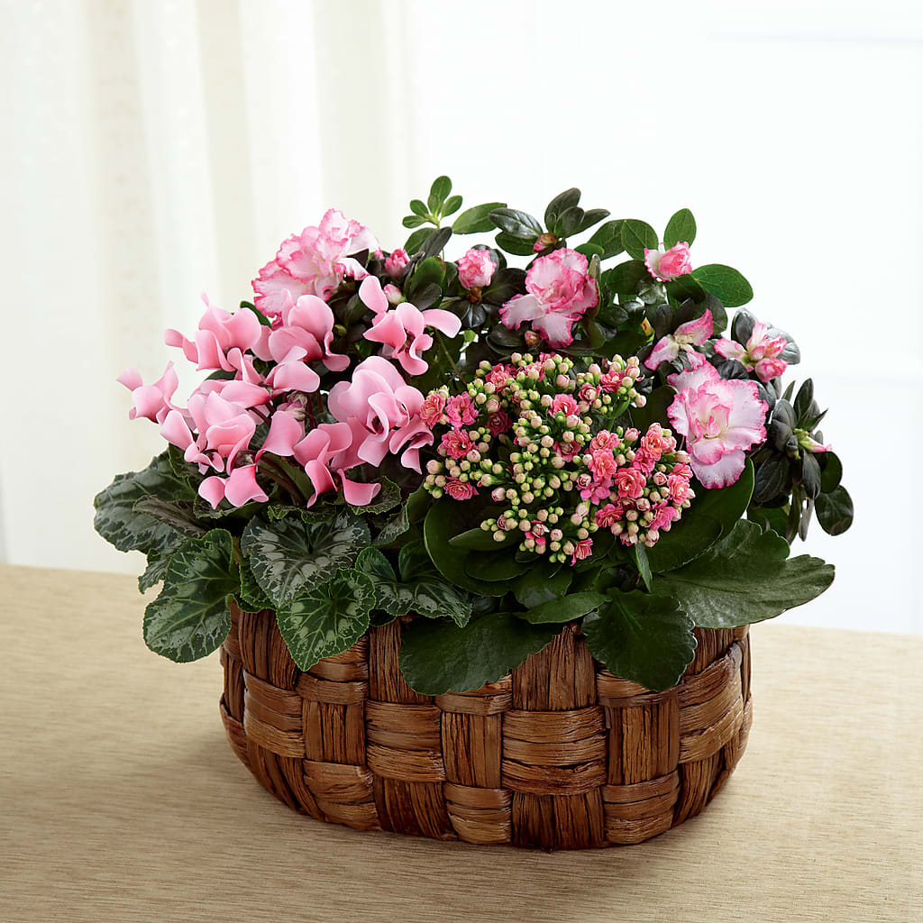 Pink Assortment – Unique Designs Llc, Fulton MO