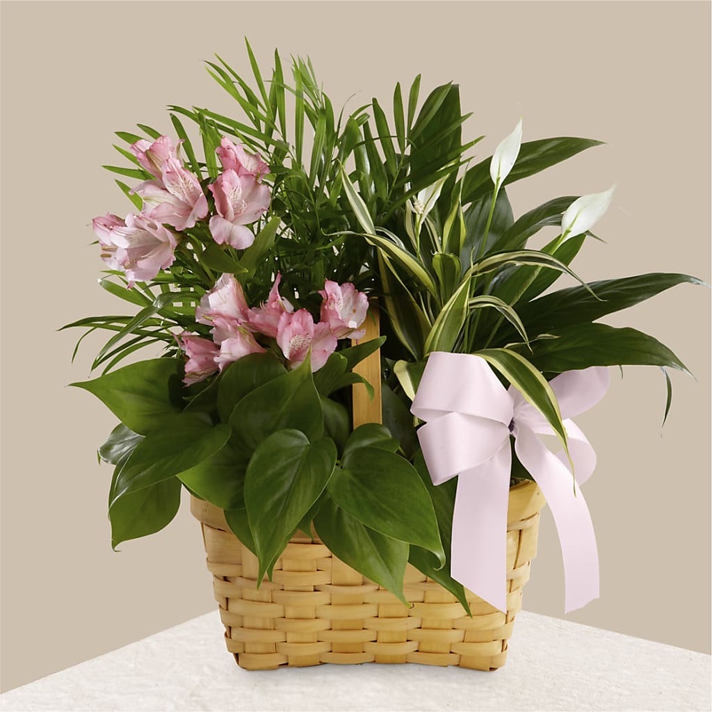 Living Spirit Dishgarden – Unique Designs Llc, Fulton MO
