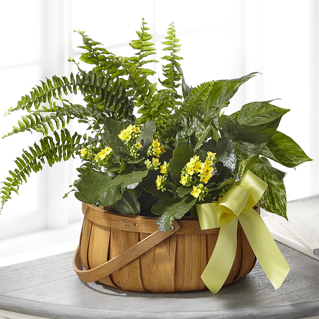 Always Dear Dishgarden – Unique Designs Llc, Fulton MO