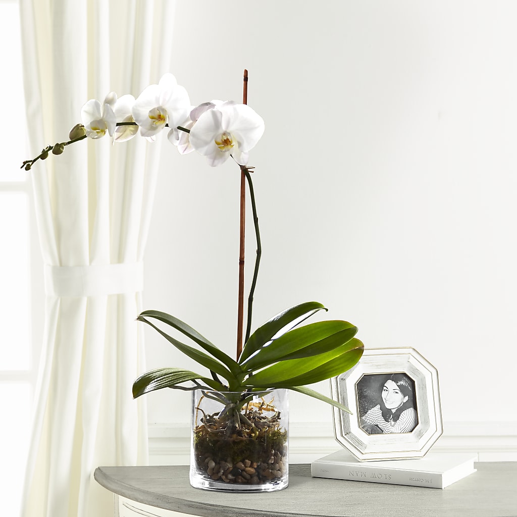 White Orchid Planter – Unique Designs Llc, Fulton MO