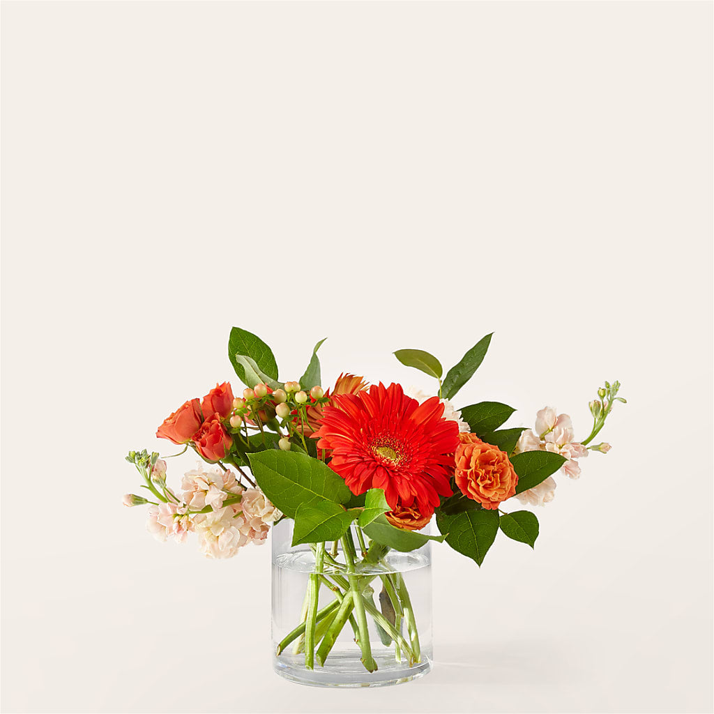 Paloma Please Bouquet – Unique Designs Llc, Fulton MO