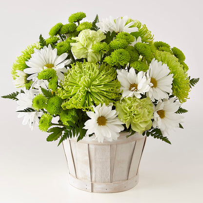 Lucky Charm Basket (Standard) –  Unique Designs Llc, Fulton MO