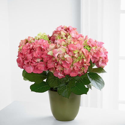 Pink Hydrangea Planter –  Unique Designs Llc, Fulton MO