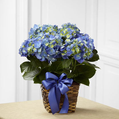 Blue Hydrangea Planter –  Unique Designs Llc, Fulton MO