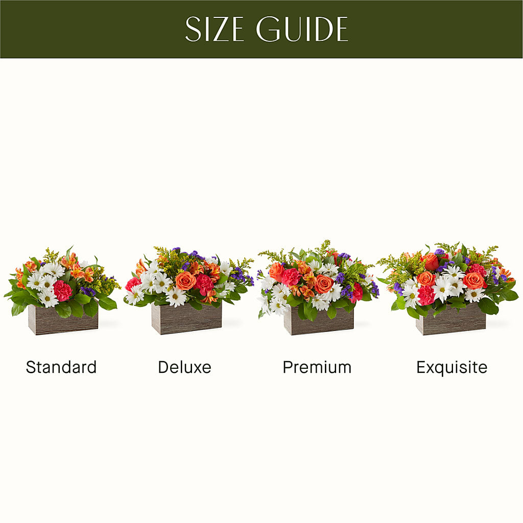 Oopsie Daisy Box Bouquet –  Unique Designs Llc, Fulton MO