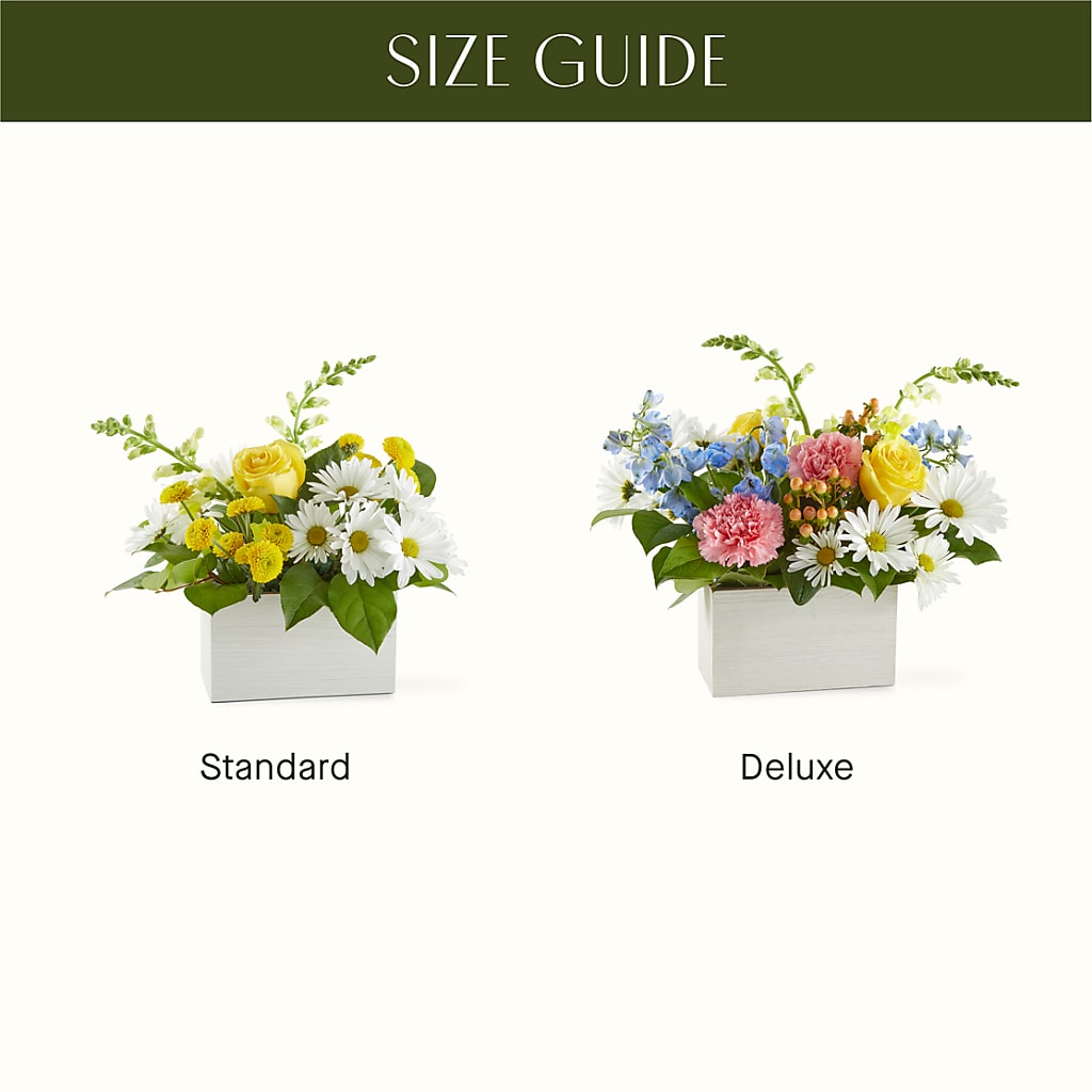 Sun Salutation Box Bouquet –  Unique Designs Llc, Fulton MO