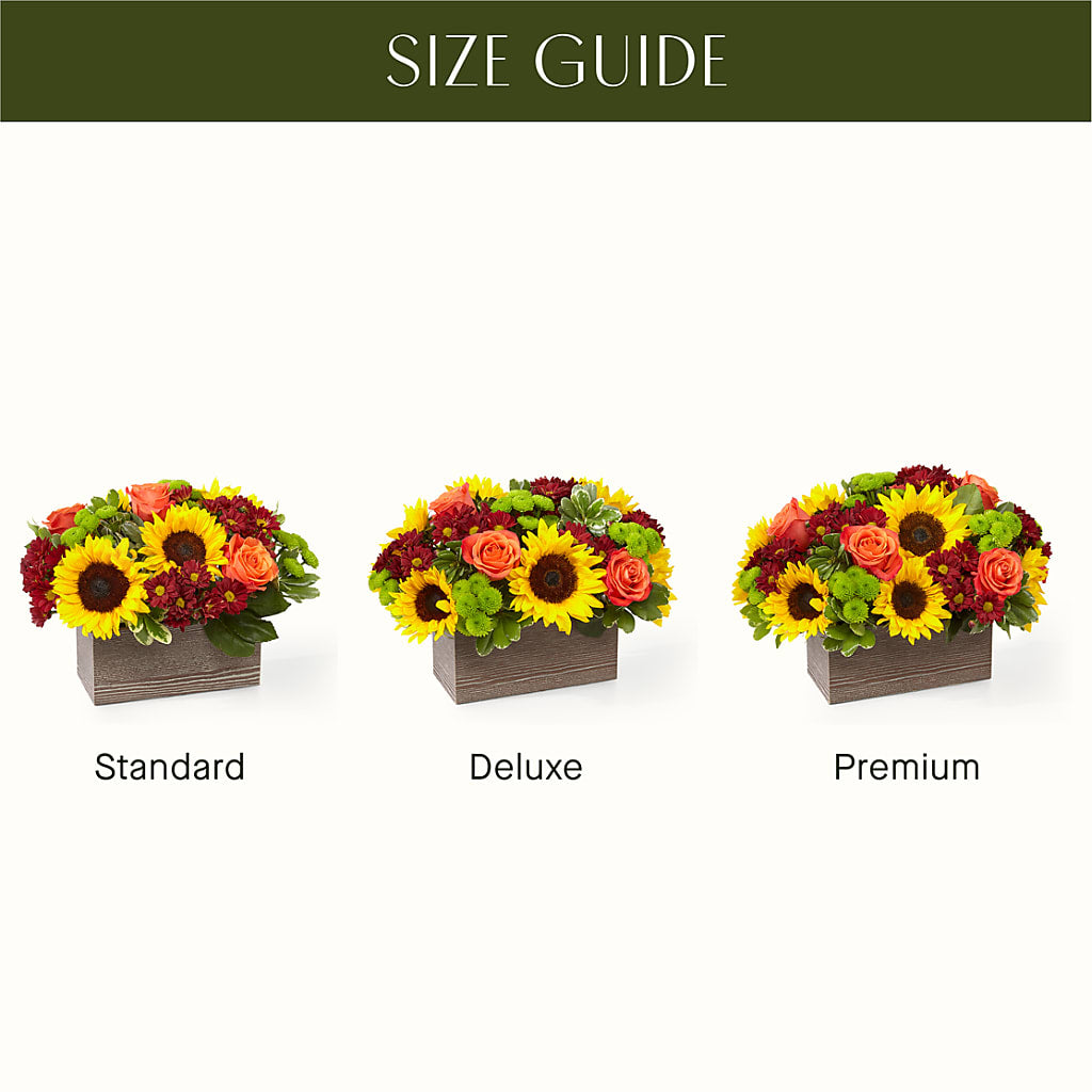 Happy Harvest Garden –  Unique Designs Llc, Fulton MO
