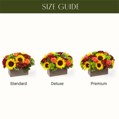 Happy Harvest Garden –  Unique Designs Llc, Fulton MO