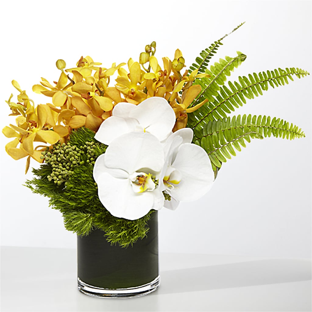 The Tropics –  Unique Designs Llc, Fulton MO
