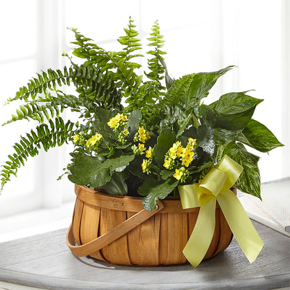 Always Dear Dishgarden –  Unique Designs Llc, Fulton MO