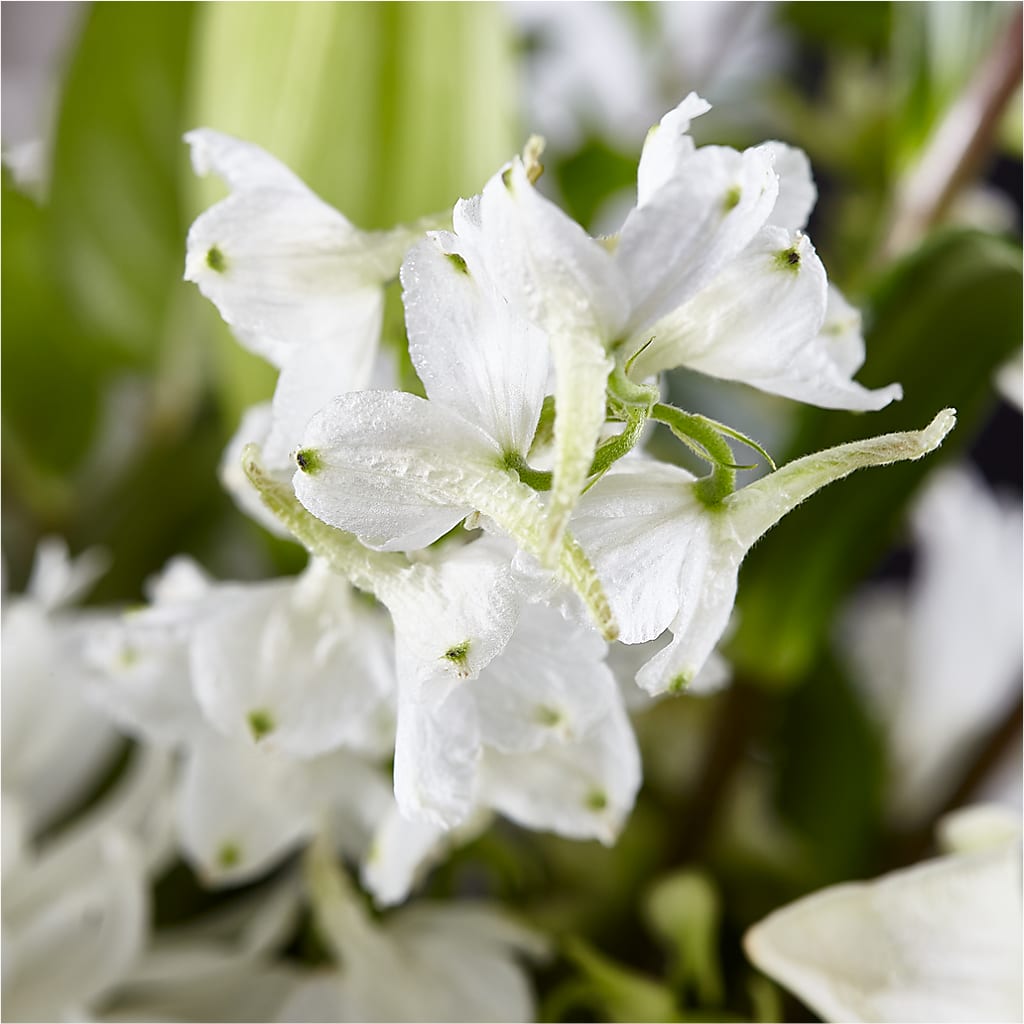 Classic Ivory – A Florist Original –  Unique Designs Llc, Fulton MO
