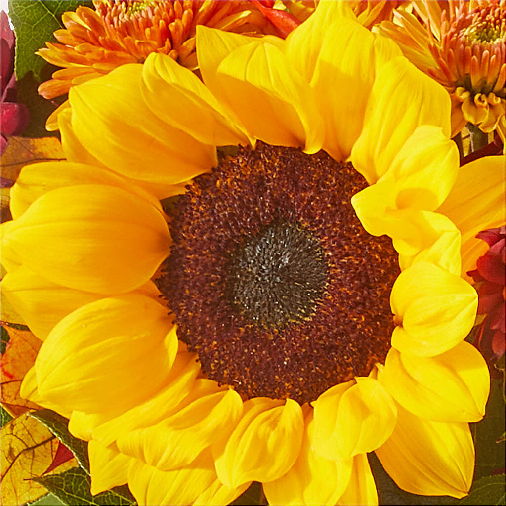 Sunny Side Bouquet –  Unique Designs Llc, Fulton MO