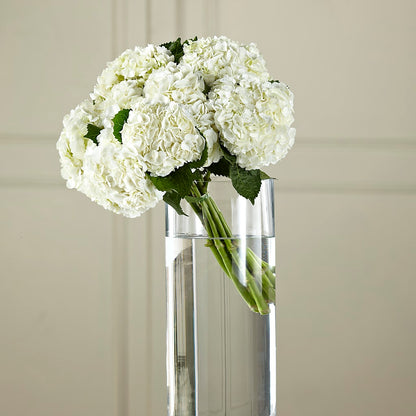 White Hydrangea Hand-Tied Bouquet –  Unique Designs Llc, Fulton MO